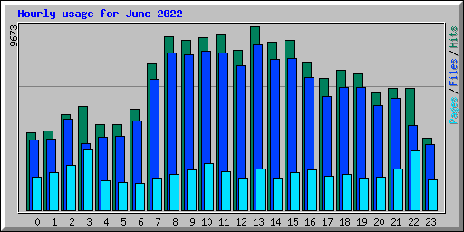 Hourly usage for June 2022