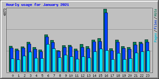 Hourly usage for January 2021