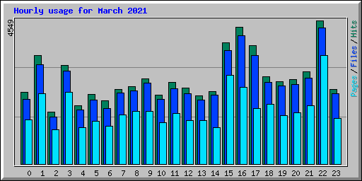 Hourly usage for March 2021