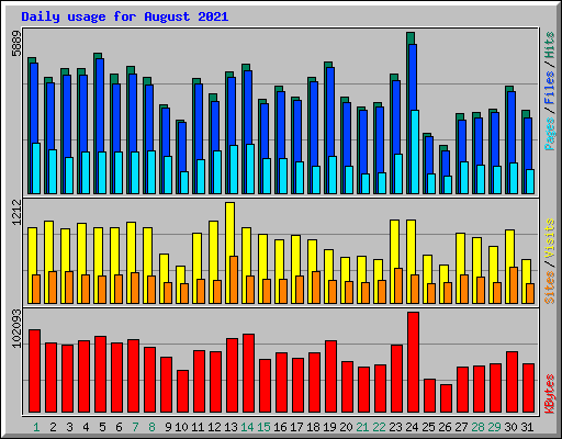 Daily usage for August 2021