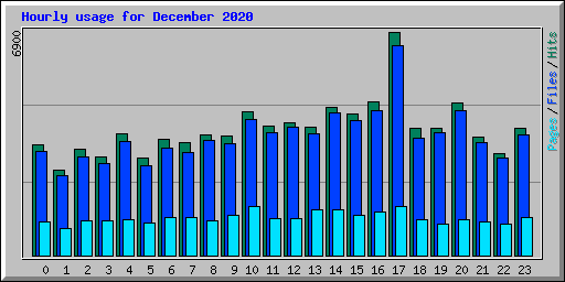 Hourly usage for December 2020