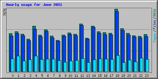 Hourly usage for June 2021