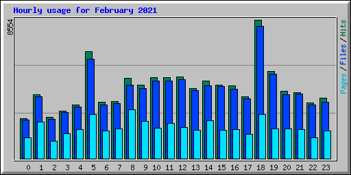 Hourly usage for February 2021