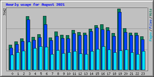 Hourly usage for August 2021