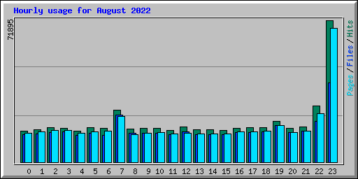 Hourly usage for August 2022