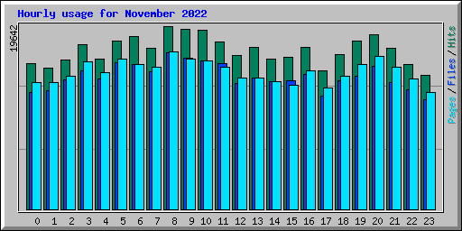 Hourly usage for November 2022
