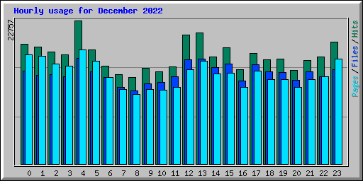 Hourly usage for December 2022