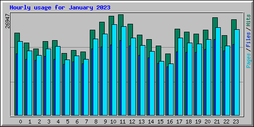 Hourly usage for January 2023