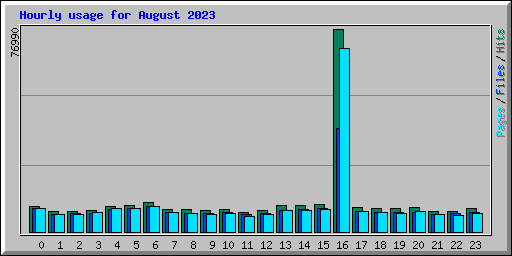 Hourly usage for August 2023