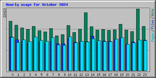 Hourly usage for October 2024