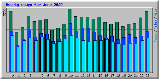 Hourly usage for June 2025