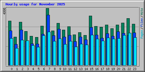 Hourly usage for November 2025