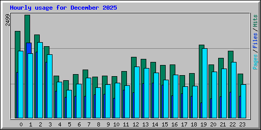 Hourly usage for December 2025