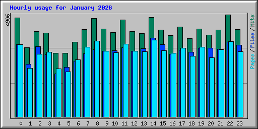 Hourly usage for January 2026