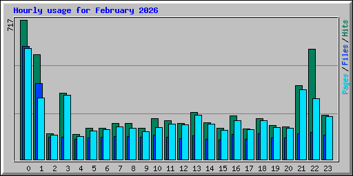 Hourly usage for February 2026