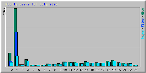 Hourly usage for July 2026