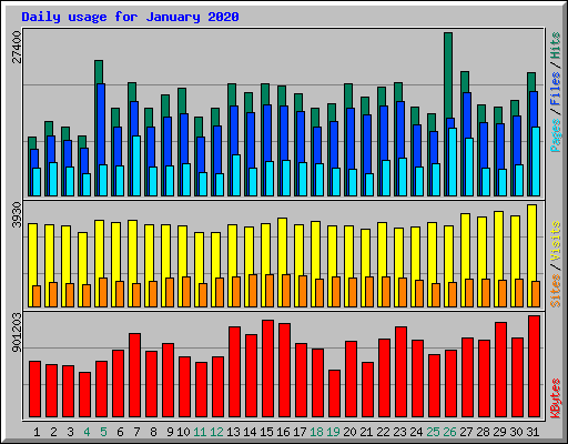 Daily usage for January 2020