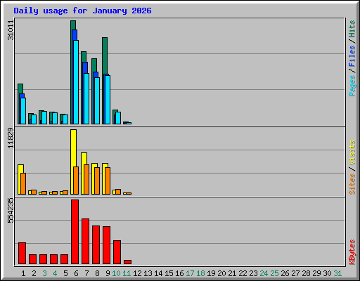 Daily usage for January 2026