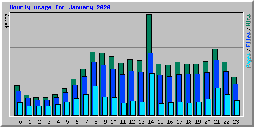 Hourly usage for January 2020