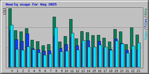 Hourly usage for May 2025