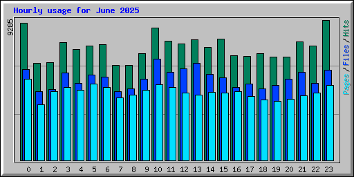 Hourly usage for June 2025