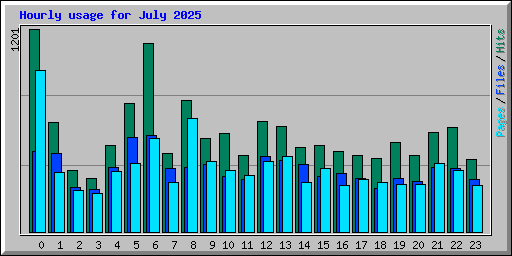 Hourly usage for July 2025