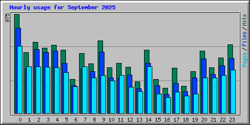 Hourly usage for September 2025