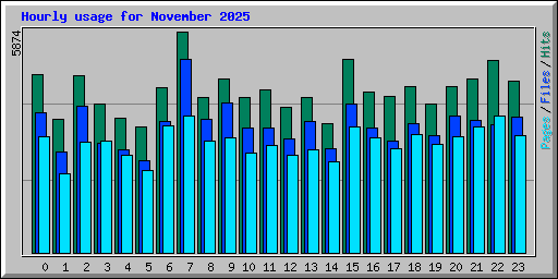 Hourly usage for November 2025