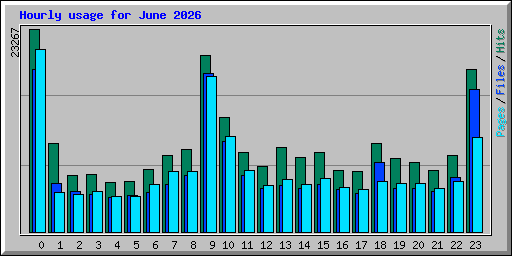 Hourly usage for June 2026