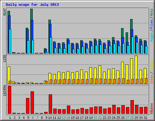 Daily usage for July 2013