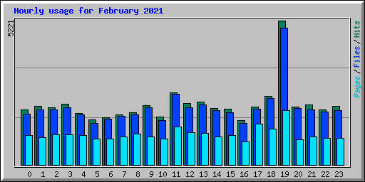 Hourly usage for February 2021