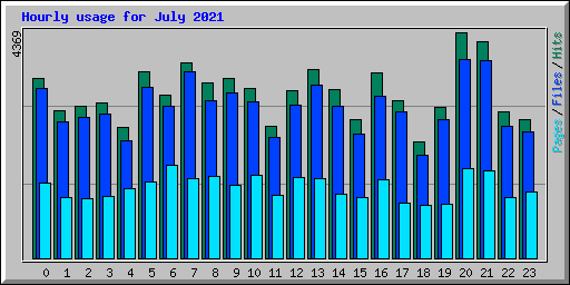 Hourly usage for July 2021