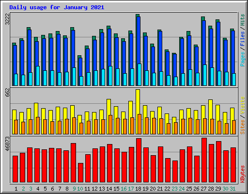 Daily usage for January 2021
