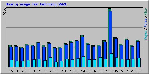 Hourly usage for February 2021