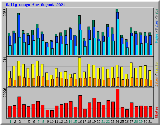 Daily usage for August 2021