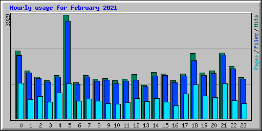 Hourly usage for February 2021
