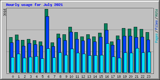 Hourly usage for July 2021