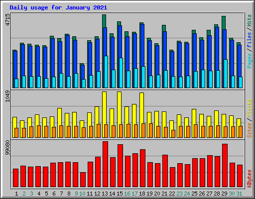 Daily usage for January 2021