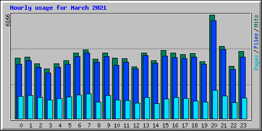 Hourly usage for March 2021